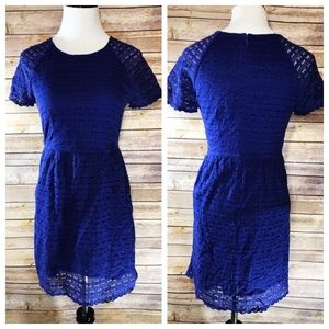 Free People Cobalt Blue Lace Candy Woven Dress